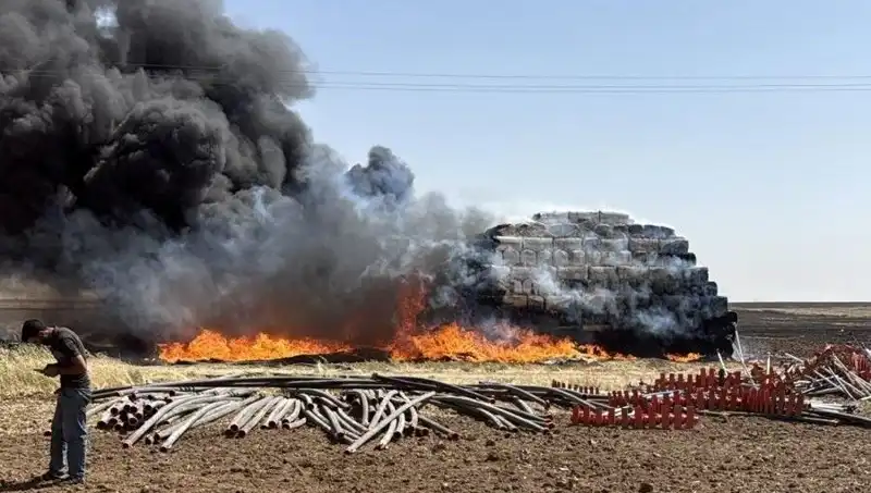 Mardin'de Korkutan Anız Yangını: Doğa ve Tarım Tehdidi