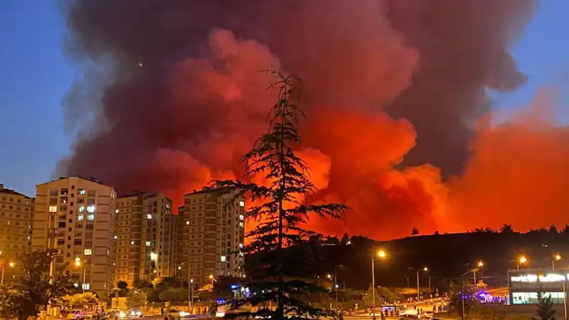 Bursa’da Yangınlar: Şehirdeki Hava Kalitesi ve Sağlık Etkileri