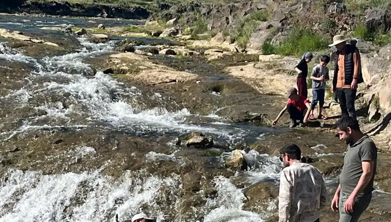 İnci Kefalinin Göçü: Doğa Harikası Turistler İçin Büyüleyici Bir Deneyim