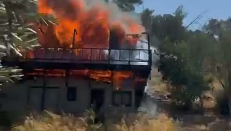 Bodrum'da Yangın Alarmı: Ekipler Tüm Hızıyla Mücadele Ediyor