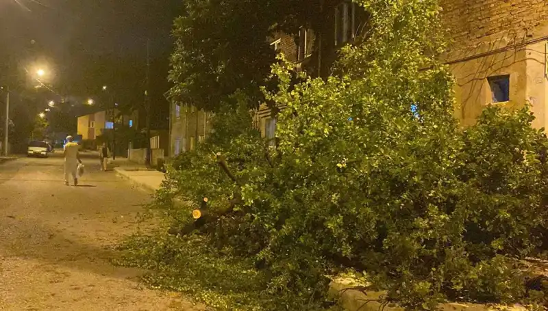 Karabük'te Fırtına Hayatı Olumsuz Etkiledi, Zararlara Neden Oldu