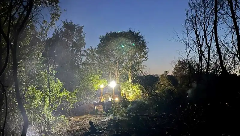 Edirne Orman Yangını: Doğanın Kalbini Kurtaran Cesur Ekipler