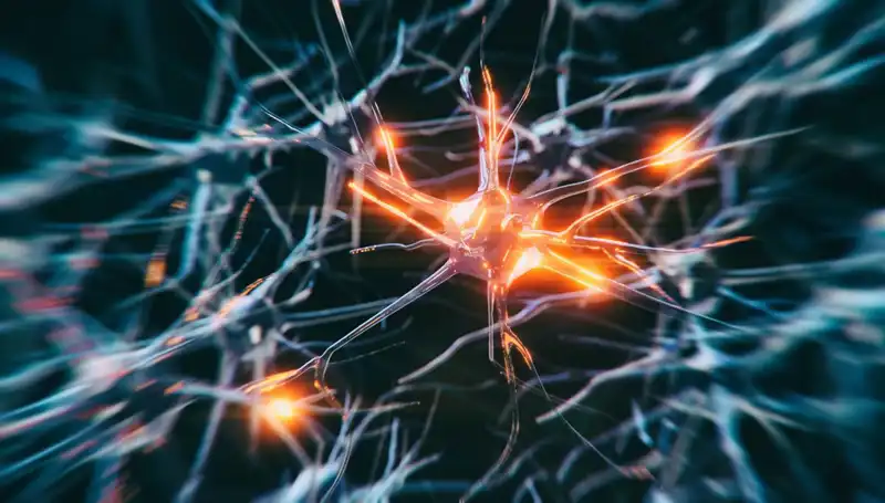 Alzheimer Vakalarındaki Şok Artış: Nedenleri ve Çözüm Yolları