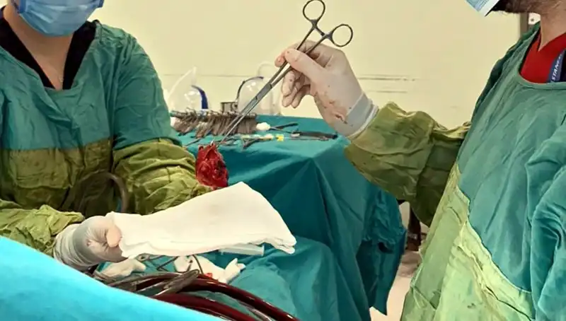 Kalp Kapağı Çürüyen Hastaya 7 Saatlik Ameliyat ile Hayat Verildi
