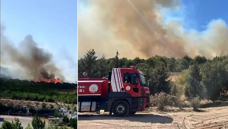 Gebze'de Korkutan Orman Yangını: Sakinler Ne Yapmalı?