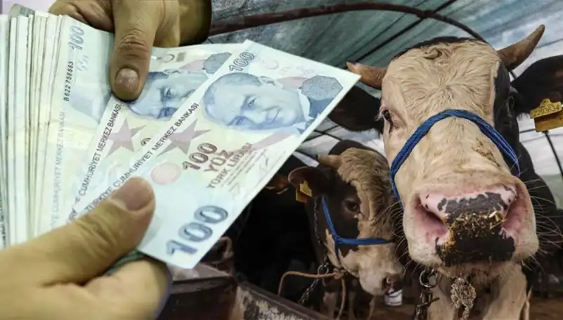 Kurban Bayramı Öncesi Maaşlar Yatacak mı? Emekliler ve Memurlar Ne Beklemeli?