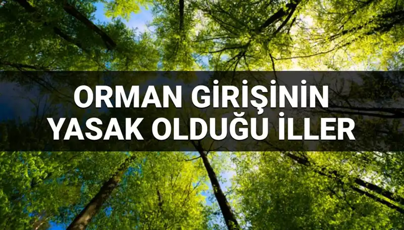 2025'te Ormana Girişi Yasaklanan İllerin Tam Listesi Açıklandı