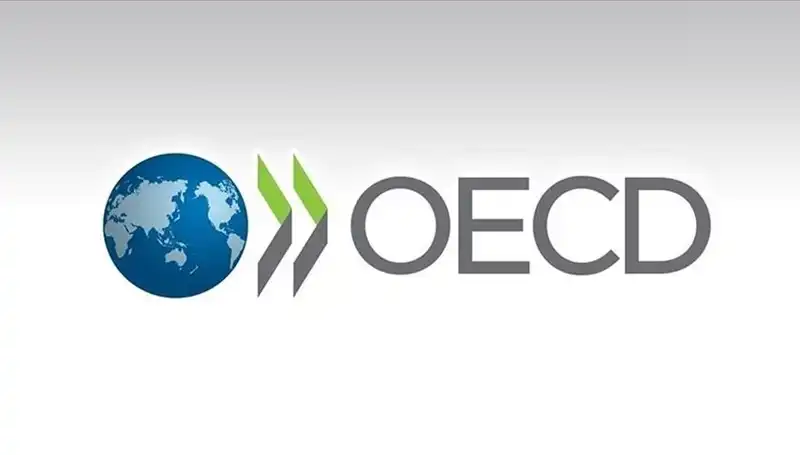 OECD Türkiye'nin Ekonomik Büyüme Tahminlerini Revize Etti: Neler Bekleniyor?