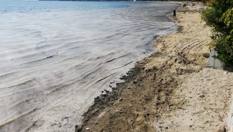 Müsilajla Mücadelede Şok Gelişme: 268 İşletme Kapatıldı!